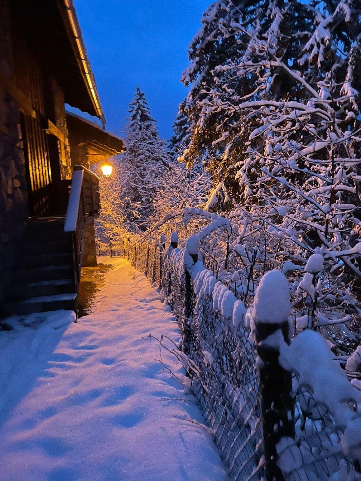 Chalet Les Avernes - Champagny En Vanoise, Domaine La Plagne Paradiski エクステリア 写真