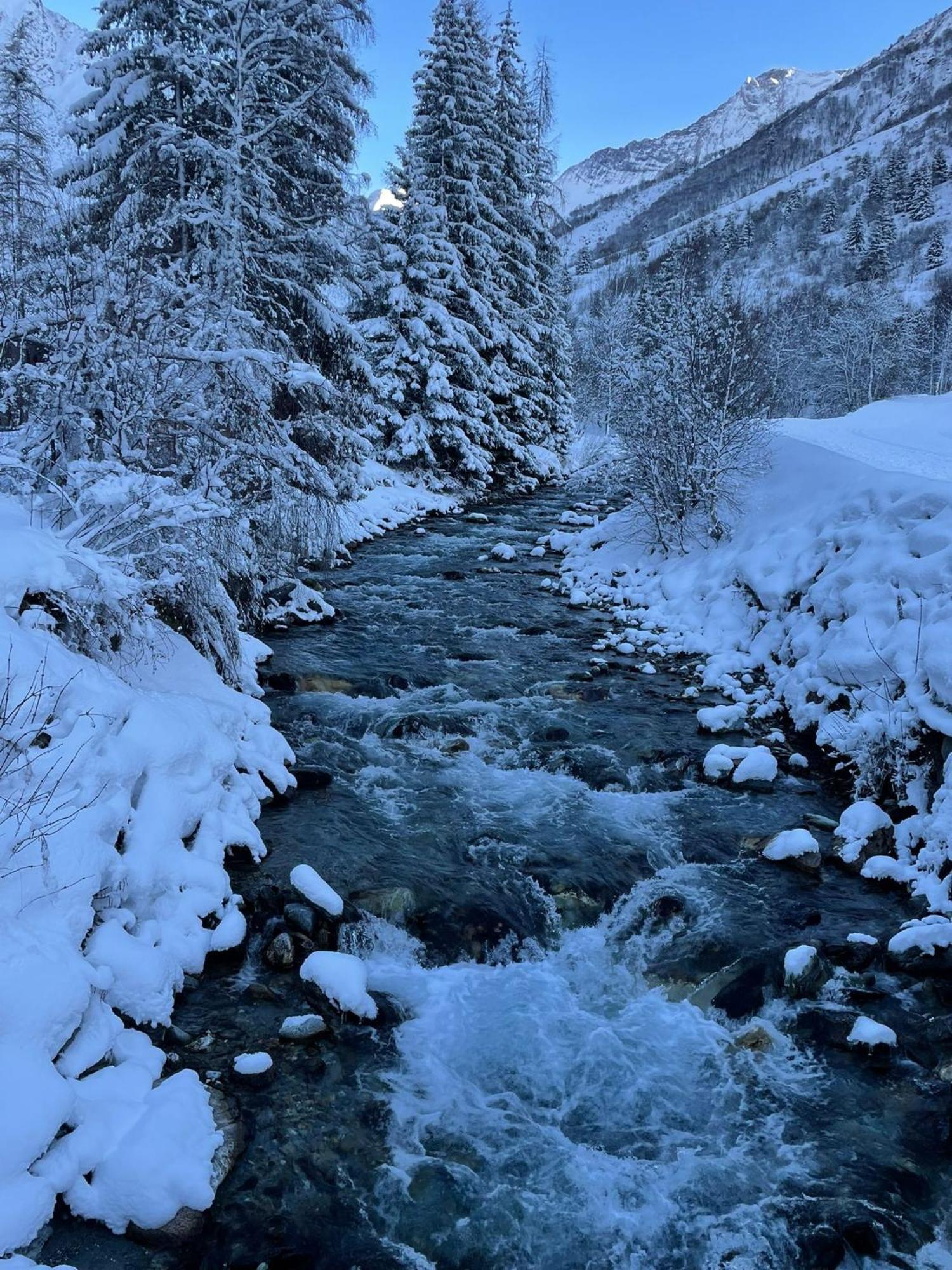 Chalet Les Avernes - Champagny En Vanoise, Domaine La Plagne Paradiski エクステリア 写真